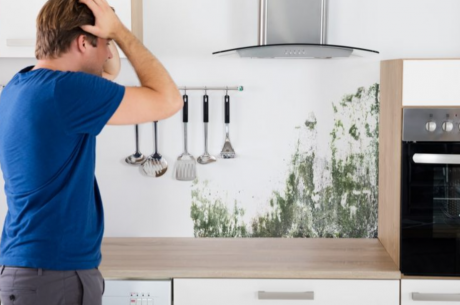 How to Get Rid of Mold on Kitchen Cabinets