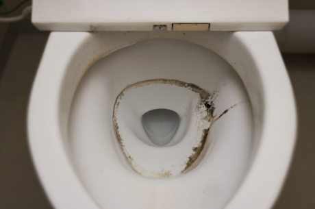 How to Remove and Prevent Mold in Toilet