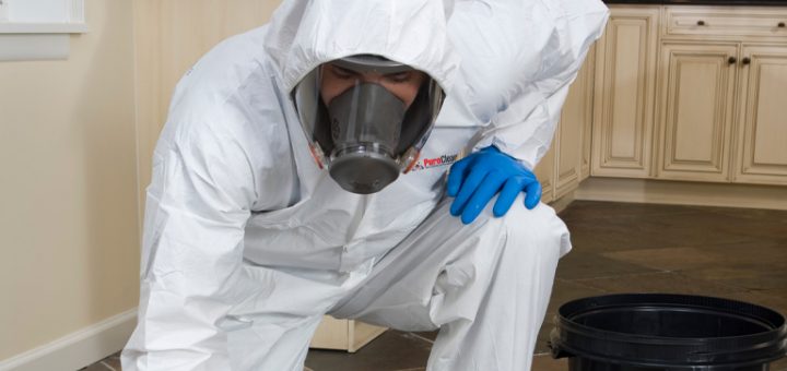 PuroClean Biohazard Cleanup Services - Technician