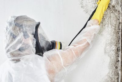 10 Myths About Mold Removal You Need to Stop Believing