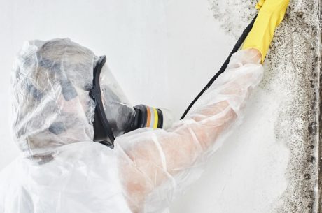 10 Myths About Mold Removal You Need to Stop Believing