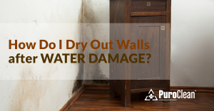 dry-out-wall-after-water-damage