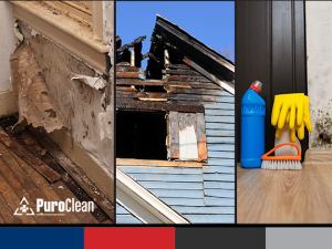 Property Restoration in Ellis County