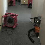 water and mold clean-up