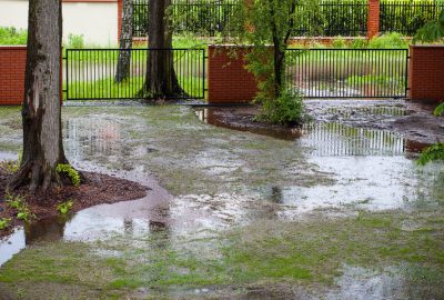 A flooded garden in Wayne park.