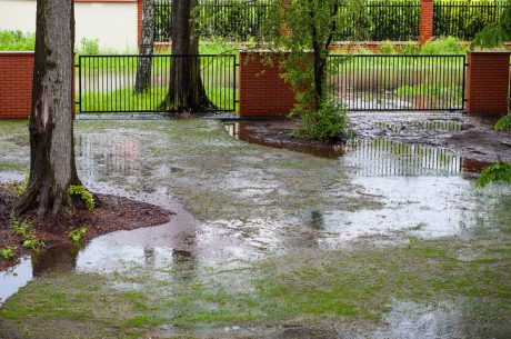 A flooded garden in Wayne park.