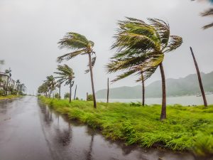 Spring storms often bring damaging winds.