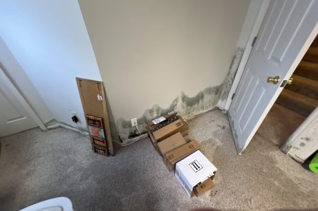 Water Damage and Mold