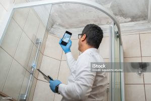 Mold Remediation in Santa Monica: Why You Should Trust No.1 PuroClean of Santa Monica