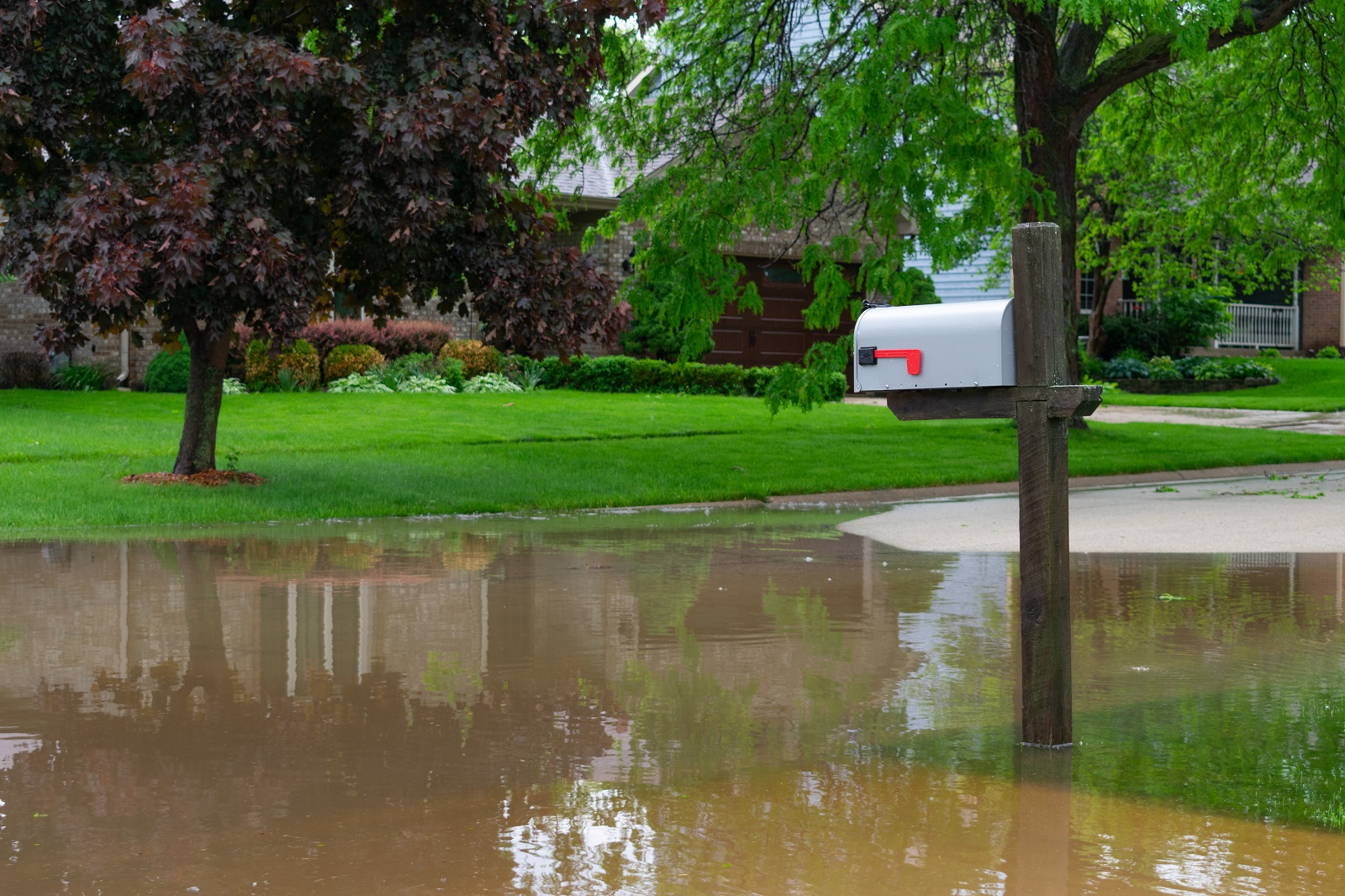 Water Damage Restoration