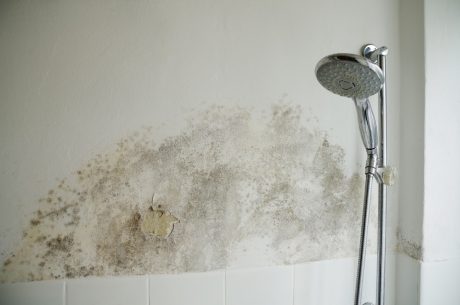 bathroom water damage