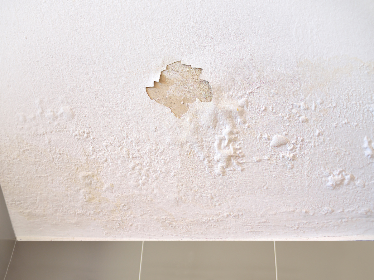 Wall Patch Repair Kit-drywall Repair Kit-safe Wall Mending Agent For  Plaster,ceiling&sheet Rock-dry