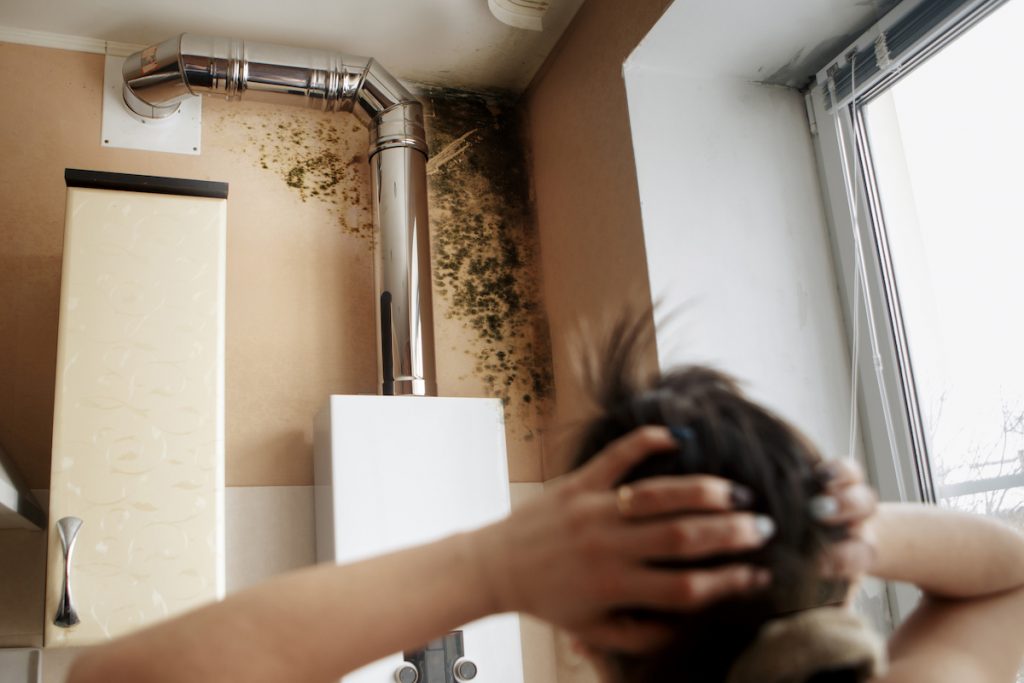 Mold is a sign of water damage in walls. Finding mold in your house can be shocking.