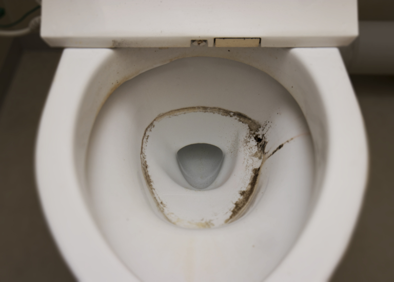 How To Remove Mold In Toilet Tank