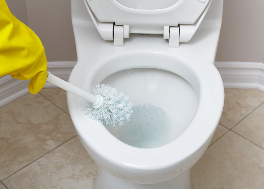 mold-in-toilet-how-to-remove-mold-in-toilet