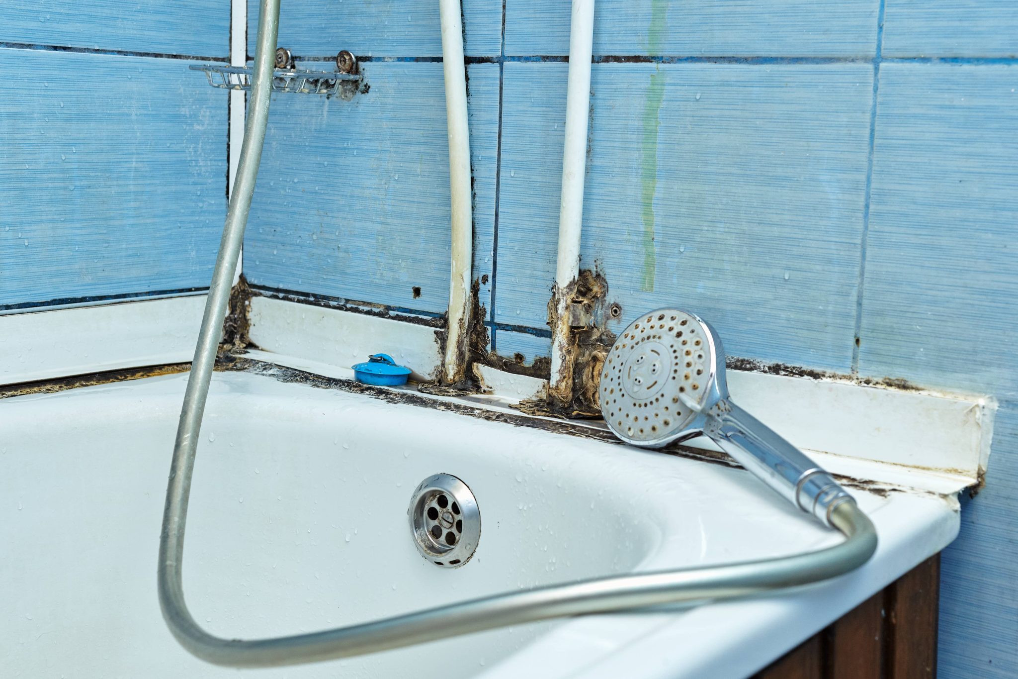 How To Get Rid Of Mold In Bathroom 2022 Tips From PuroClean   AdobeStock 295699755 1 Scaled 