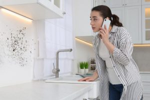 black mold remediation