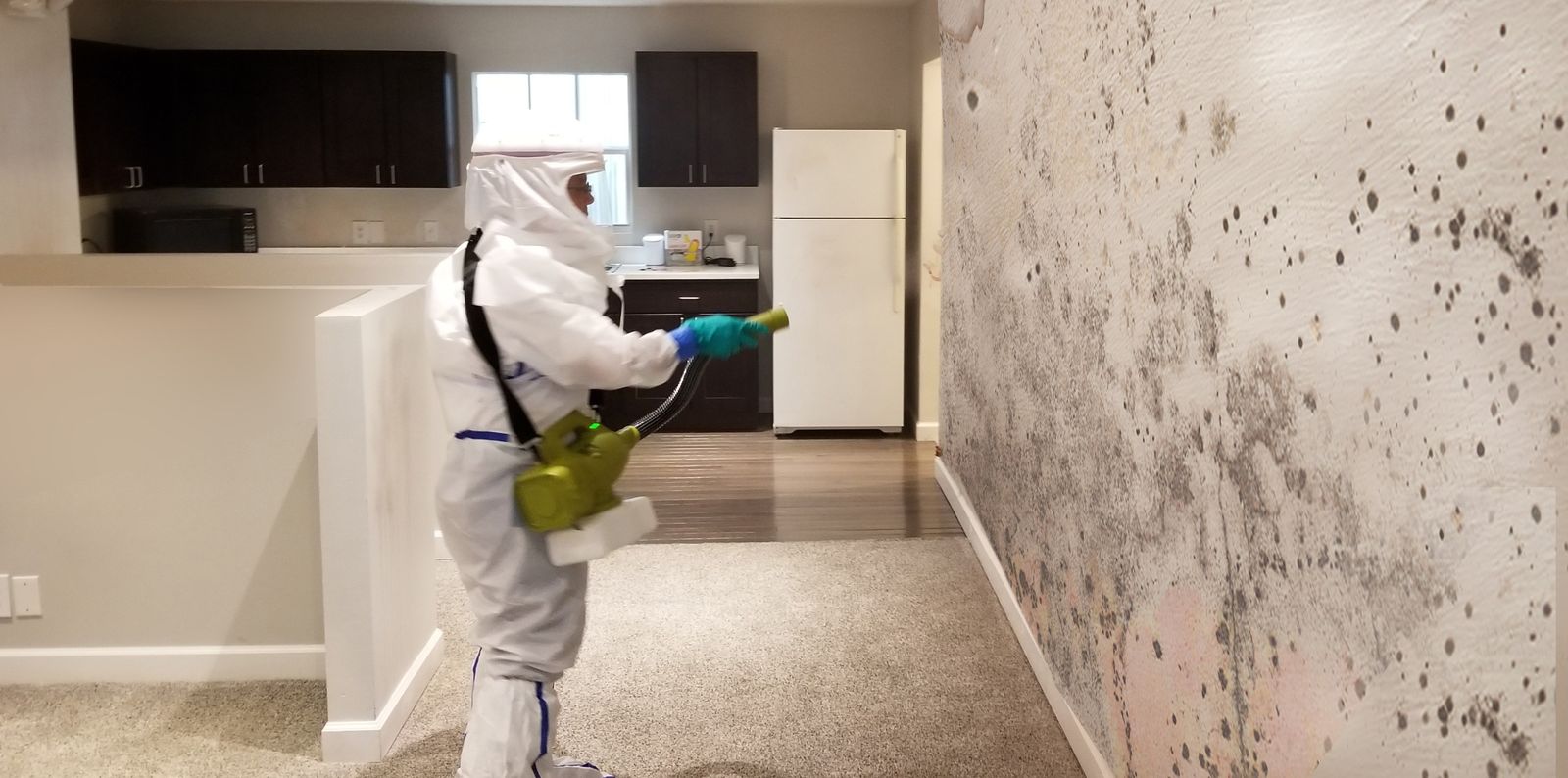 PuroClean technician wearing personal protective equipment removing mold from a wall