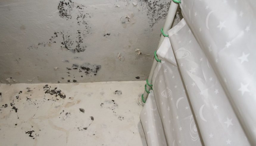 mold in a home bathroom