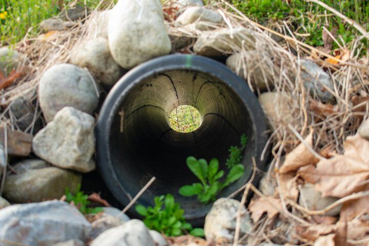 French drain surrounded by rocks in a yard