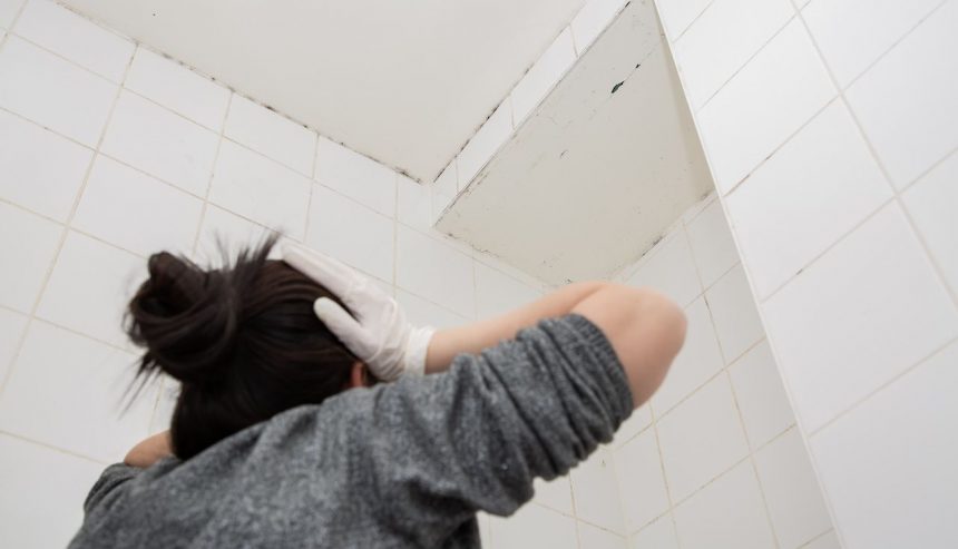 bathroom ceiling mold on white tile