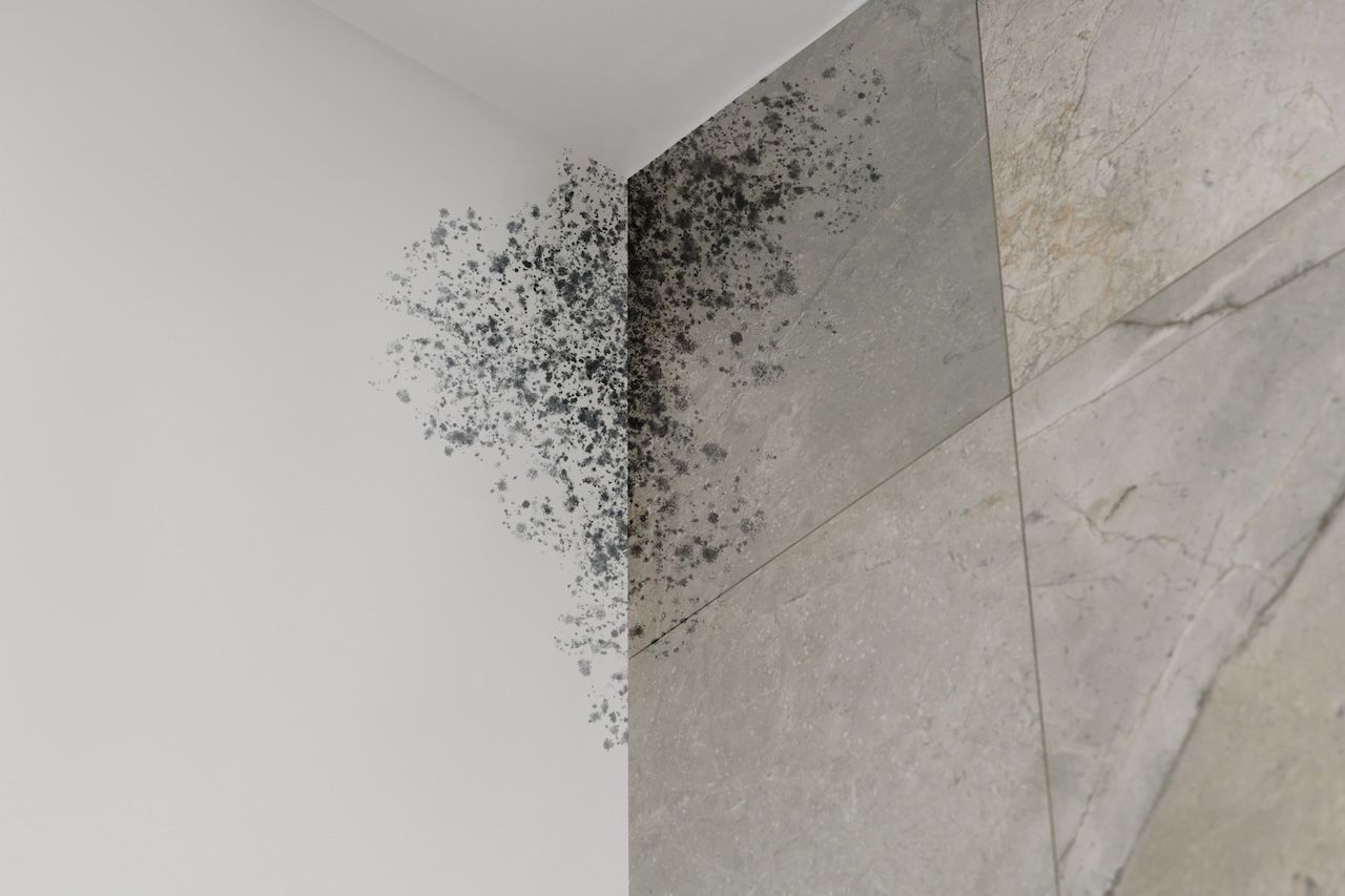 bathroom ceiling mold