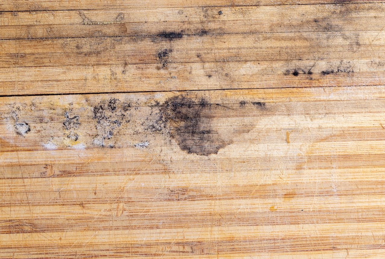 mold on wood flooring