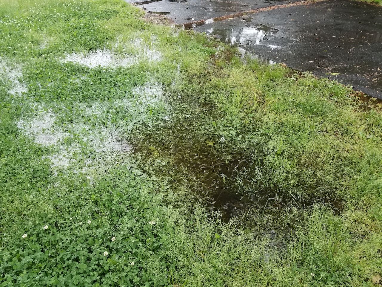 grass saturated with water causing drainage issues