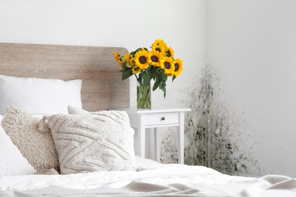 Interior of bedroom with black mold on light walls