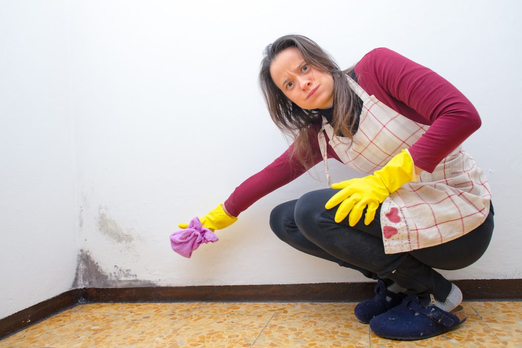 A woman cleaning mold off the walls
