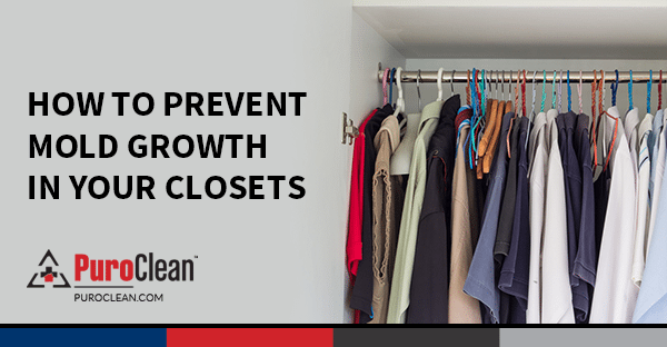 How to Prevent Mold Growth in Your Closets