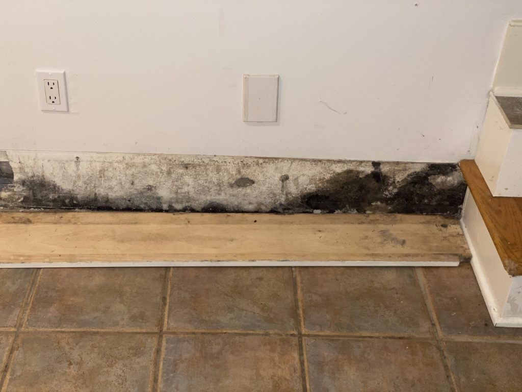 Mold and your Home – Prevention is the best Medicine