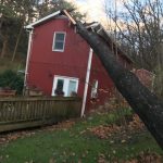 Wind damage