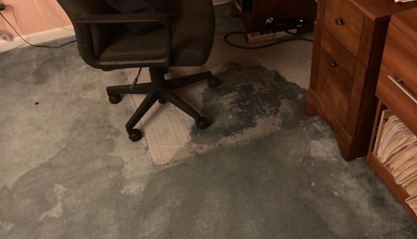 flood and water damage