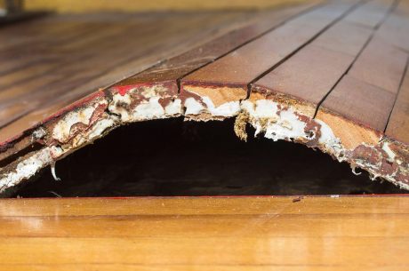 fix water damage on wood