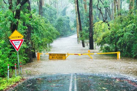 Flooded Call the Pros Water Damage Zephyrhills