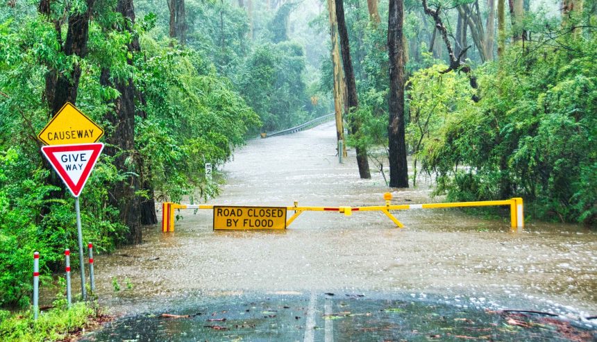 Flooded Call the Pros Water Damage Zephyrhills