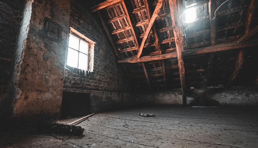 removing black mold in attic restoration services in Zephyrhills, FL