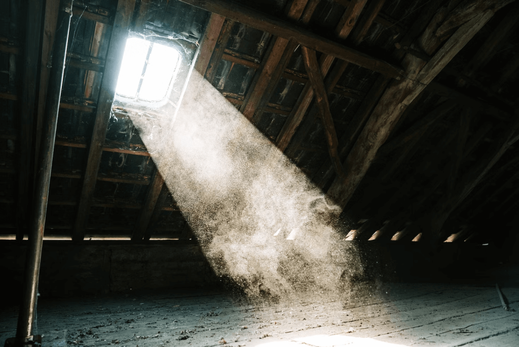 black mold in attic removal services in Zephyrhills, FL