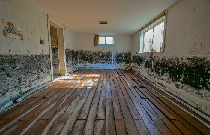 Mold-covered walls reveal hidden slab leak.