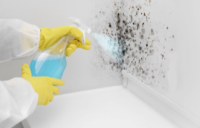 how long does mold remediation take