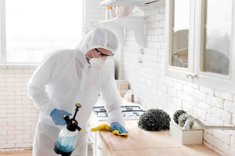 cleaning services zephyrhills florida