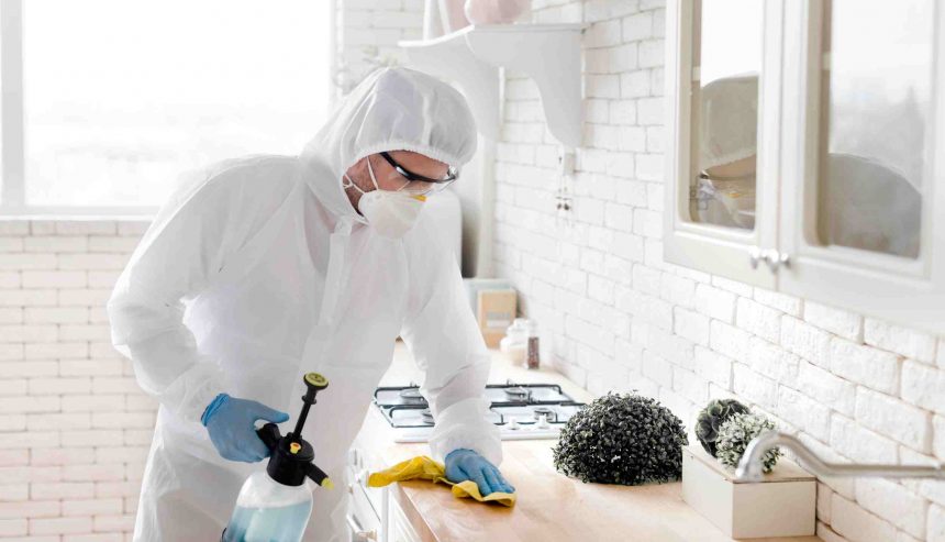 cleaning services zephyrhills florida