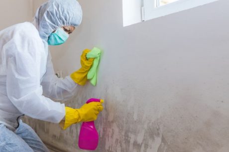 does bleach kill mold