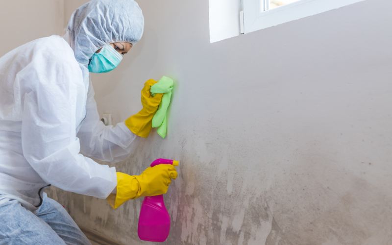 does bleach kill mold