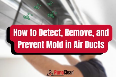 mold in air ducts