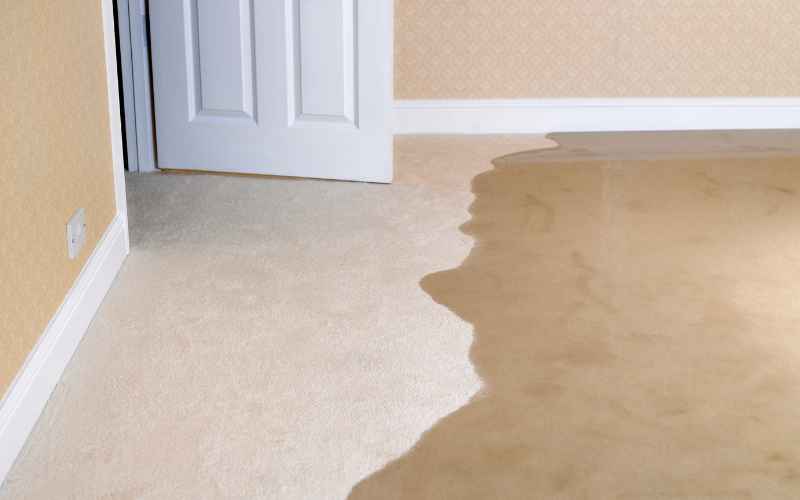 flooded carpet cleanup