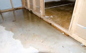 how to fix water damaged wood