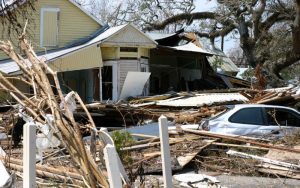 hurricane debris removal