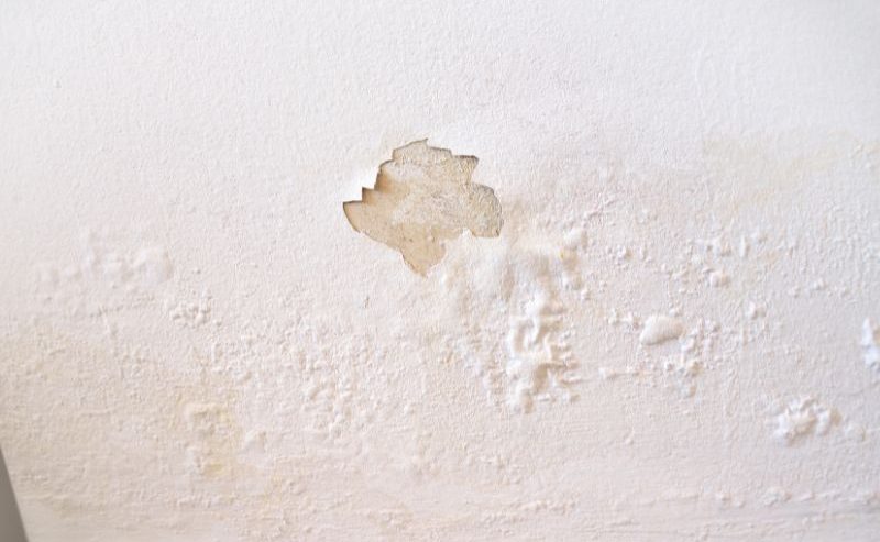 repair water damaged drywall